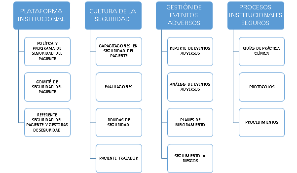 Seguridad Paciente